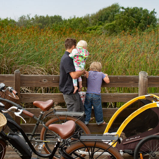 family ebike ride kid cart