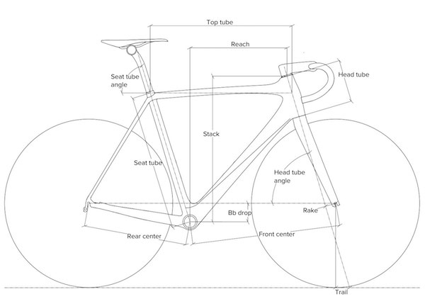 roab bike rental geometry and sizing