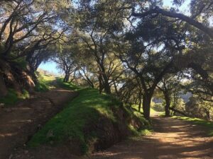 San Ysidro, one of the hardest mountain bike trails in Santa Barbara